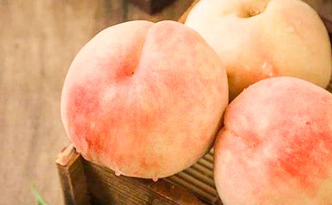 家鄉(xiāng)的水蜜桃作文(集錦15篇)