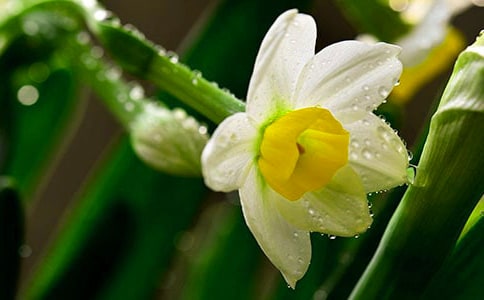 ����ˮ�ɵ�Ԋ�~15��