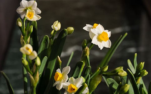 ˮ����ԁ���ϔU(ku��)��