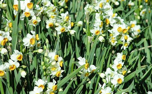 ˮ�ɻ���Ψ��ɢ�ģ�ͨ��24ƪ��