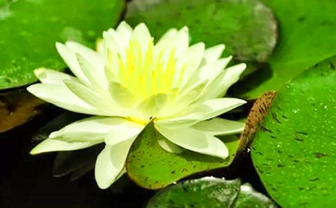 ˯ɏ�^����ӛ