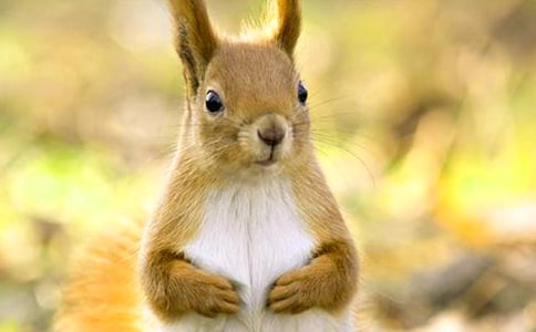 С�����һ������̰�13ƪ