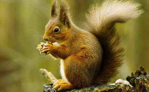 ��С�����һ��������Ľ̌W(xu��)��˼