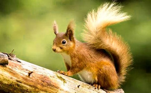 �P�ڡ����󡷵Ľ̌W�OӋ����