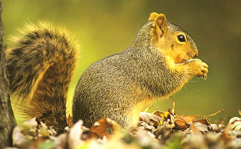 С�����һ������Ľ̌W(xu��)��˼