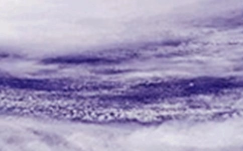 臺風(fēng)雨季三防應(yīng)急預(yù)案(精選15篇)