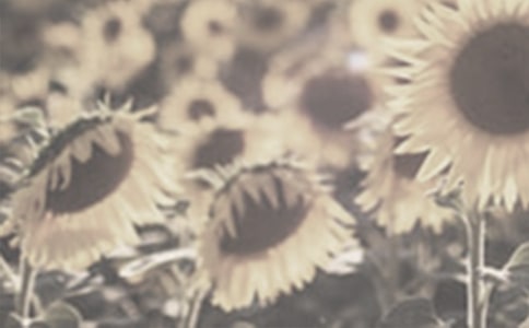 ̫ꖻ��^����ӛ�\����ƪ