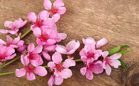 �茑�һ��ľ��ӣ����x400�䣩