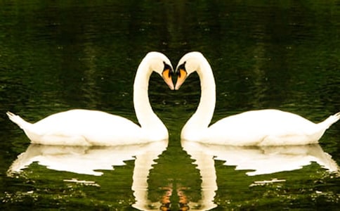 ���Z�����r�����~ԇ�v�̰�