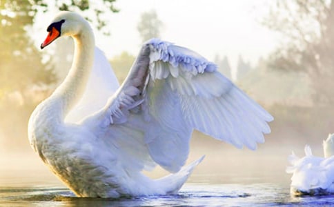 �����Z���̌W(xu��)��˼