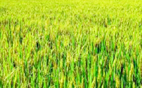 ���M(j��n)��Ұ���ĺϼ���ƪ