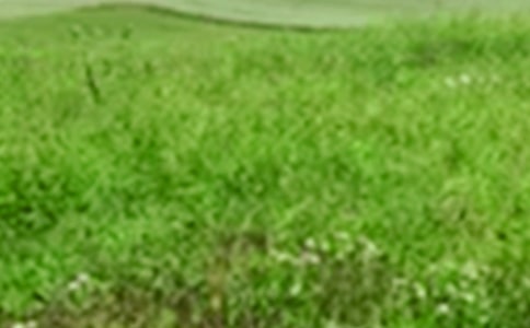 �����A�����꼉��Ұ���ģ����x31ƪ��