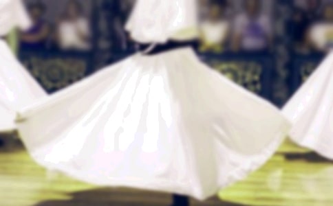 我學會了跳舞300字以上