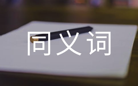 search的同義詞