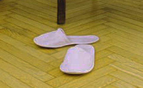 一雙拖鞋的經(jīng)典散文