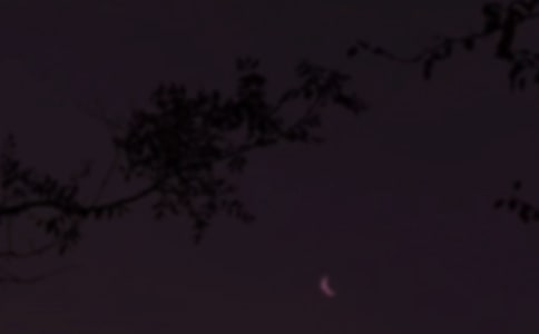 ����Ψ��������QQ�����Z�R��68�l