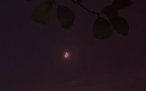 2021�ꌍ(sh��)�õĜ�ܰ���������Z����Ȧժ�81�l