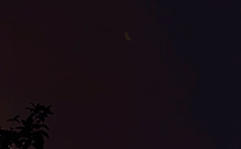 2022�꾫�x�������Z(y��)����Ȧ�R��59��