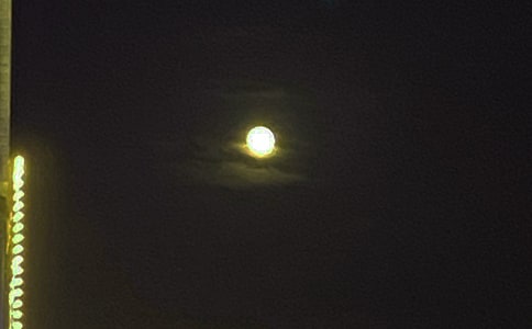 2021���ܰ���������Z����Ȧ�ϼ�82�l