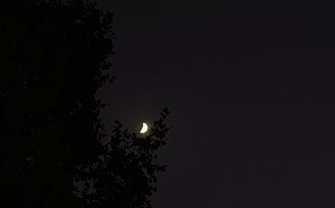 ���P(gu��n)��ů���������Z����Ȧ�ϼ�51�l