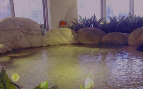 ���ݜ�ȪС�W(xu��)��Ƭ����