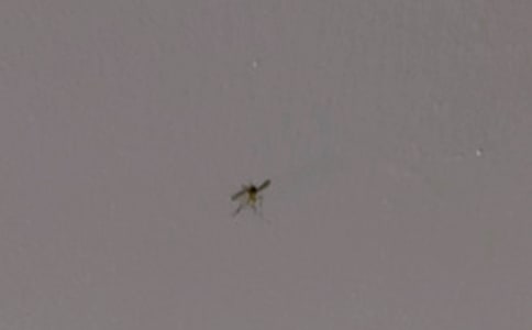 ����Ʒ����������300����ƪ