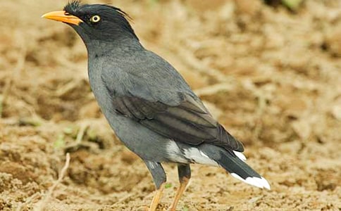 �����f��ˮ���̰���ͨ��5ƪ��