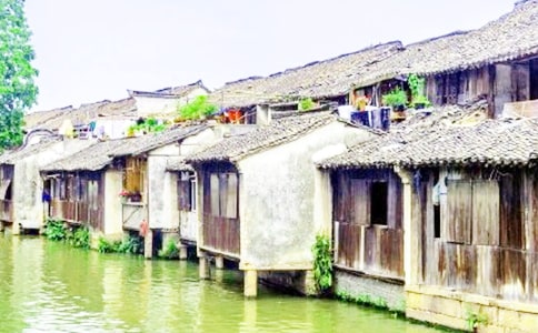 �茑���(zh��n)��ɢ�ģ�ͨ��17ƪ��