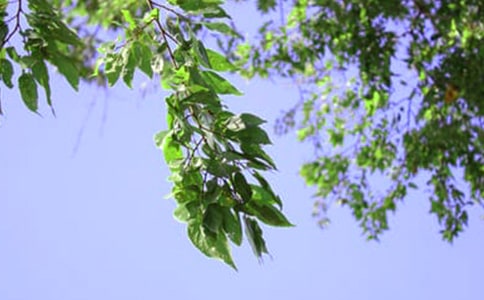 ��(j��ng)���ܰ�簲���ӅR��100��