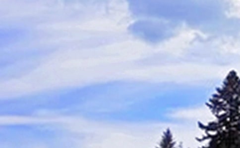 2025���ܰ���簲�����Z�����\��93��