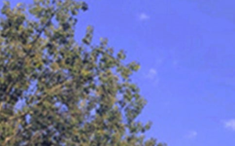 �������簲�f�f90��