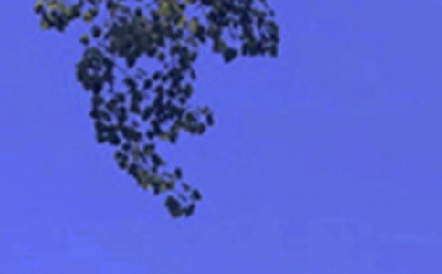 �簲���������x30�䣩