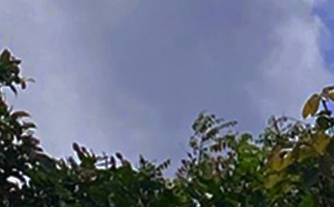 ��ܰ���簲�����Z(y��)�ϼ�84�l