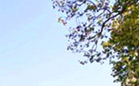 2026���ܰ���簲QQ�����Z62��