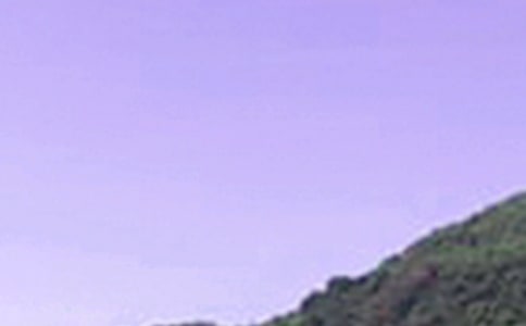 �P(gu��n)��Ψ���簲�İ���ͨ��80�䣩