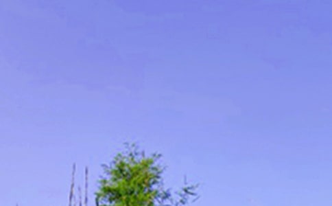 ����Ȧ�簲���ԅR�������x90�䣩