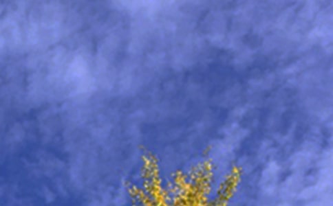 2024���ܰ���簲�����Z�ϼ�36��