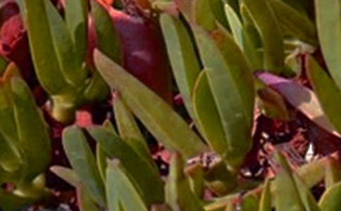 ů���簲ף���Z��ȫ90��