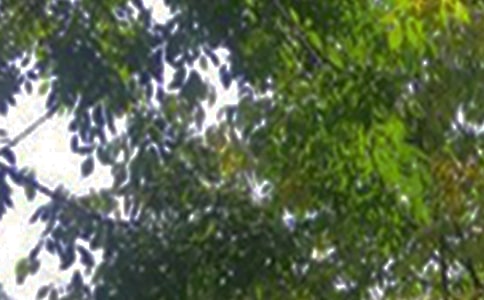 2025年美好的午安微信問候語集錦36條