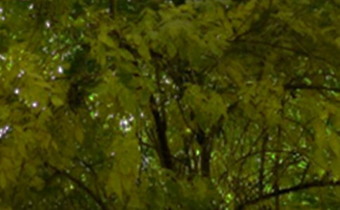 Ψ���簲�İ���ȫ80�侫�x