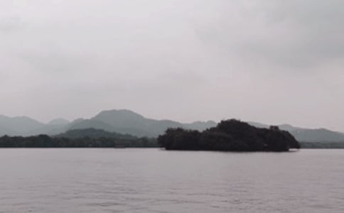 武漢東西湖區(qū)初中轉(zhuǎn)學(xué)申請流程