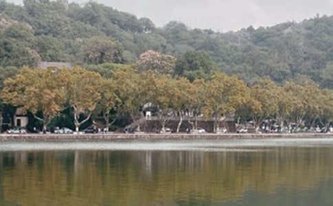 ����Ԋ���زļ��\