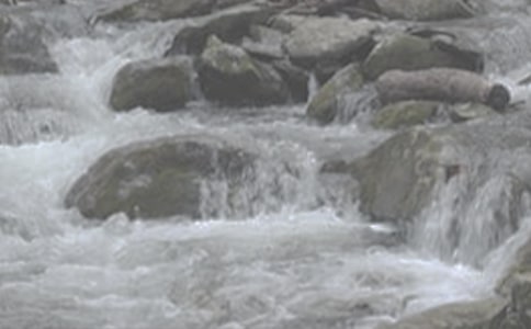 СϪ�����������꼉400������