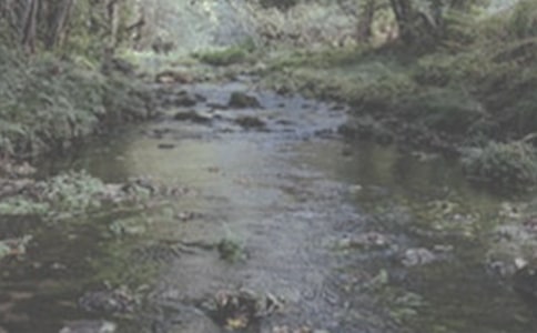 �r(n��ng)��Ϫ���D���꼉����