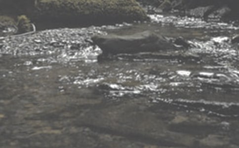 СϪ�����꼉����