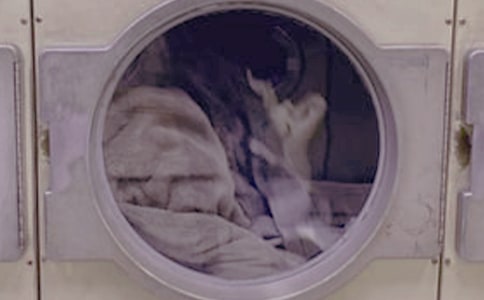 С�����g(sh��)���옷(l��)��ϴ�C(j��)���̰�