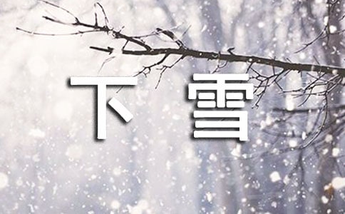 第一次下雪作文(集合11篇)