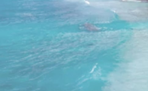 ���յ��糿 ����ɢ��