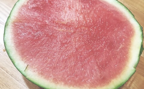 ����ɢ�ġ����Օr�⡷