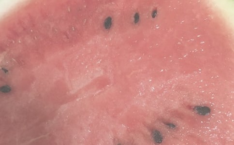 ���ŵ����Ճ�(y��u)��ɢ��